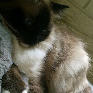 Meet your Posher, Kerri